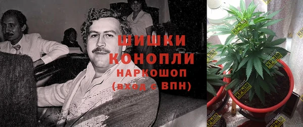 ПСИЛОЦИБИНОВЫЕ ГРИБЫ Армянск