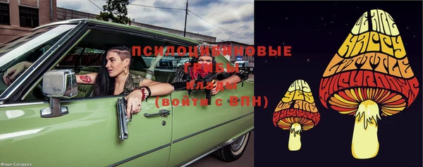 ПСИЛОЦИБИНОВЫЕ ГРИБЫ Армянск